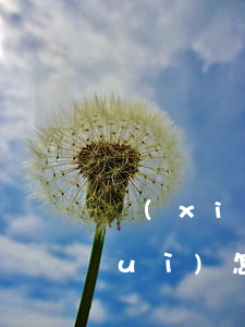 現(xiàn)金貸和信用卡逾期了會(huì)怎么樣(現(xiàn)金貸金融嚴(yán)重逾期)