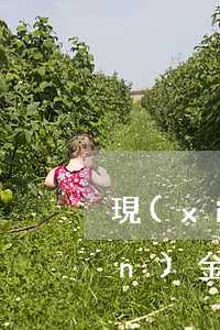 現(xiàn)金貸逾期?（有誰在現(xiàn)金借款逾期過）