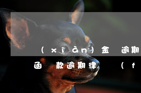 現(xiàn)金貸逾期被發(fā)律師函(貸款逾期律師發(fā)信息)