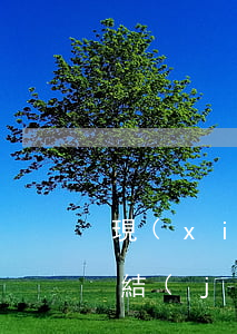 現(xiàn)金逾期起訴會(huì)凍結(jié)銀行卡嗎(逾期后銀行卡會(huì)被凍結(jié)嗎)