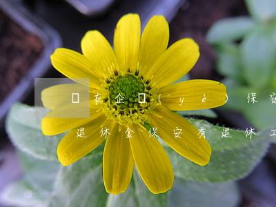 現在企業(yè)保安退休年一個月領多少退休金(保安有退休工資嗎)