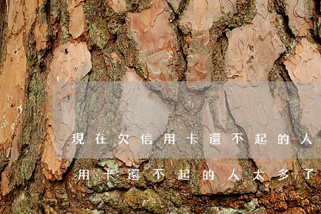 現在欠信用卡還不起的人太多了-現在欠信用卡還不起的人太多了怎么辦