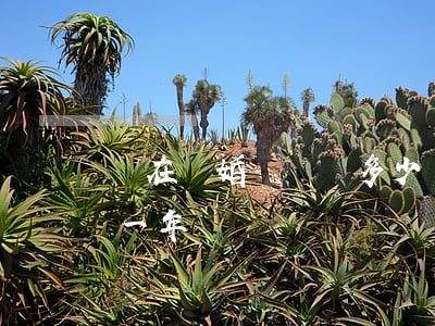 現在離婚撫養費多少(現在離婚撫養費多少錢一年)