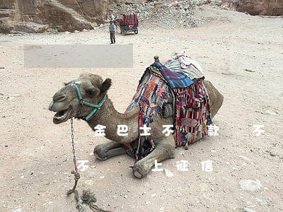 現金巴士不還款會不會找到學校-現金巴士不還會上征信嗎