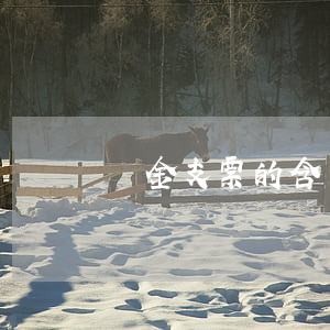 現金支票的含義是什么