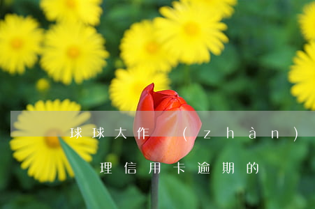 球球大作戰(zhàn)登山在哪（淮北哪有處理信用卡逾期的）