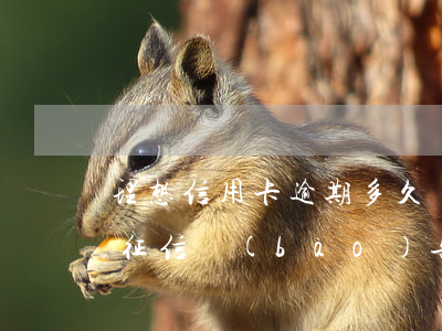 理想信用卡逾期多久會(huì)影響征信(征信報(bào)告有一個(gè)月的信用卡逾期)