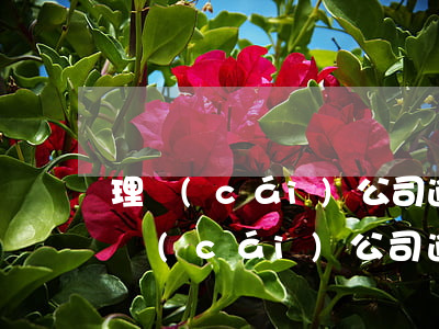 理財(cái)公司逾期不給錢說分期-理財(cái)公司逾期怎么辦