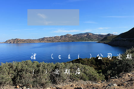 理財(cái)公司逾期正常嗎（理財(cái)逾期后）