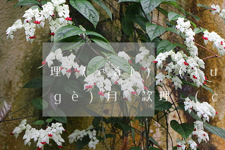 理財(cái)團(tuán)逾期7個(gè)月還款(理財(cái)團(tuán)逾期7個(gè)月還款)