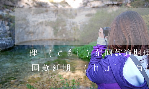 理財(cái)范回款逾期(理財(cái)回款延期會(huì)有什么結(jié)果)