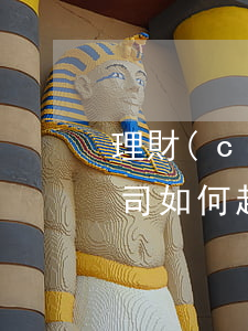 理財(cái)逾期起訴擔(dān)保公司(如何起訴理財(cái)公司)