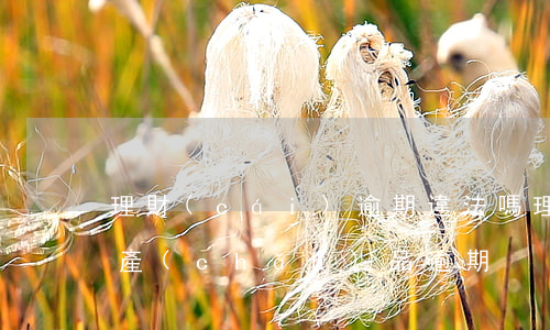 理財(cái)逾期違法嗎(理財(cái)產(chǎn)品逾期)