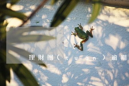 理財團(tuán)逾期-理財 違約