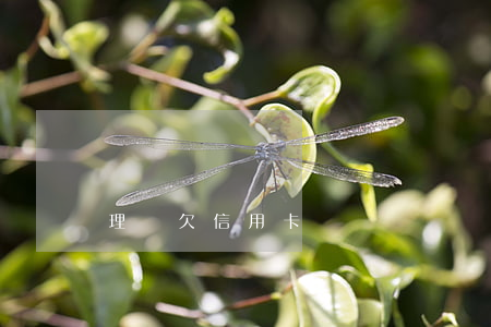 理財欠信用卡嗎