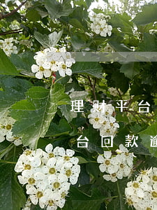 理财平台回款逾期打什么电话咨询-理财平台回款逾期打什么电话咨询客服