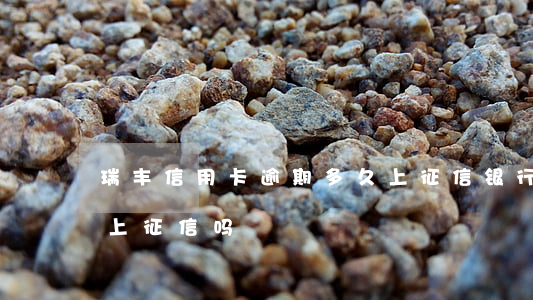 瑞丰信用卡逾期多久上征信(银行逾期4天会上征信吗)