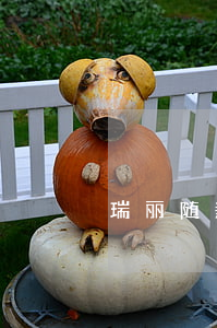 瑞丽随薪贷逾期
