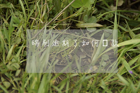 瑞刷逾期了如何還款