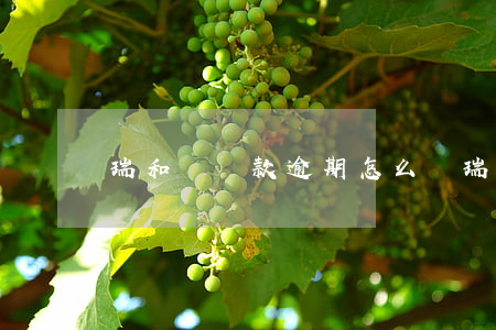 瑞和寶貸款逾期怎么辦(瑞和寶貸款逾期怎么辦)