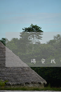 瑞安找债务律师收费（瑞安找债务律师收费）