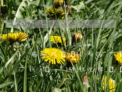 瑞安找債務(wù)風(fēng)險(xiǎn)代理律師預(yù)約電話-瑞安找債務(wù)風(fēng)險(xiǎn)代理律師預(yù)約電話號(hào)碼