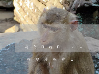 瑞安離婚財(cái)產(chǎn)律師(瑞安婚姻律師)