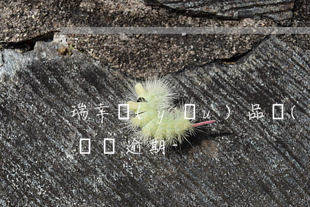 瑞幸優(yōu)品發(fā)短信給我說賬單逾期-