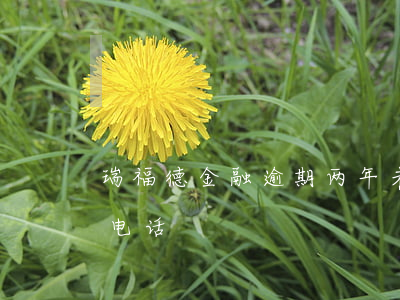 瑞福德金融逾期两年未起诉(瑞福德金融投诉电话)