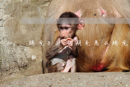 瑞虎8p分期免息么(瑞虎8plus分期付款)
