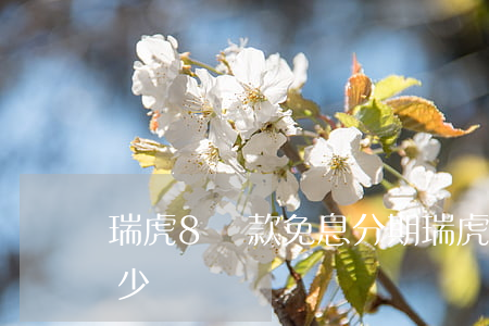 瑞虎8貨款免息分期(瑞虎8plus分期多少錢)