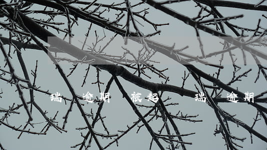 瑞貸逾期會被起訴嗎(瑞貸逾期會被起訴嗎)