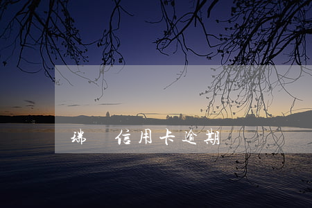 瑞銀信用卡逾期