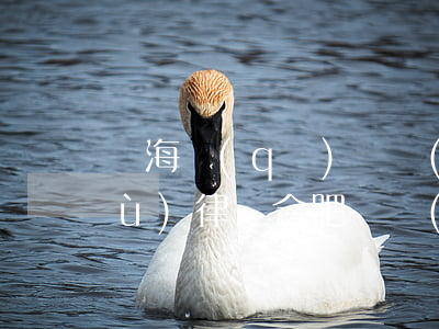 瑤海區(qū)債權(quán)債務(wù)律師(合肥債務(wù)律師)