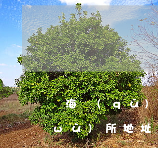 瑤海區(qū)律師免費(fèi)事務(wù)所地址(北海律師事務(wù)所電話號(hào)碼是多少)