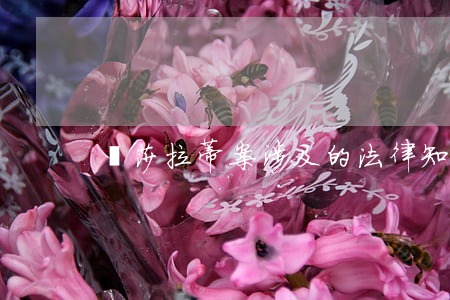 瑪莎拉蒂案涉及的法律知識(瑪莎拉蒂案罪名)