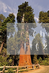 環(huán)境侵權(quán)無過錯責(zé)任原則