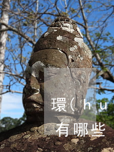 環(huán)境保護(hù)法基本原則有哪些