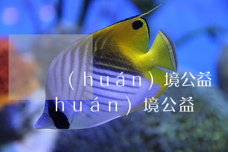 環(huán)境公益訴訟可以反訴嗎(環(huán)境公益訴訟和環(huán)境民事公益訴訟區(qū)別)