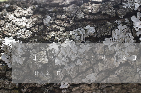 環(huán)境公益訴訟的原告需要滿足什么條件
