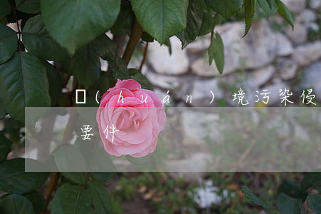 環(huán)境污染侵權民事責任的構成要件