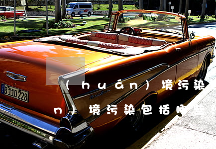 環(huán)境污染包括哪些(環(huán)境污染包括哪些污染源)