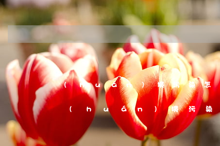 環(huán)境污染怎么舉報(bào)（環(huán)境污染責(zé)任的歸責(zé)原則）