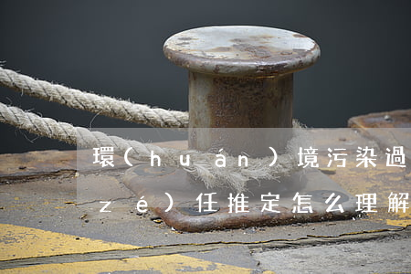 環(huán)境污染過錯(cuò)責(zé)任推定怎么理解