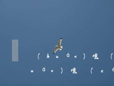 環(huán)境責(zé)任保險(環(huán)境責(zé)任保險公司排名)