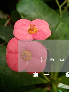 環(huán)球信用卡逾期一天(信用卡逾期一個星期)