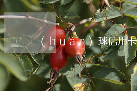 環(huán)球信用卡逾期(行用卡逾期)