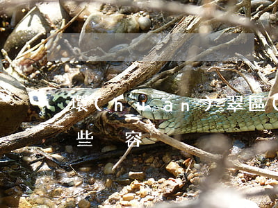 環(huán)翠區(qū)保證合同有哪些內容