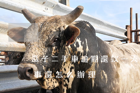 瓜子二手車逾期還款一天(瓜子二手車還款完事還怎么辦理)