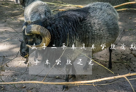 瓜子二手车汽车贷款逾期了怎么办-瓜子二手车贷款还完